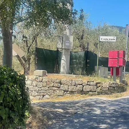 Patina Di Sotto