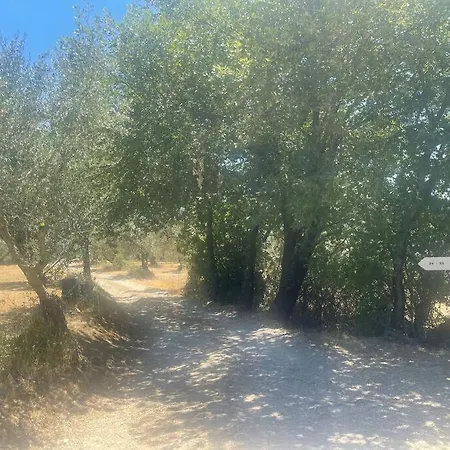 Сasa de vacaciones Patina Di Sotto LʼOpaco